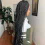 Spring Twists