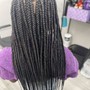 Knotless/Box Braids (Mid Back Lenth) Medium