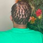 Starter Locs