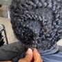 [ Add-on ] Deluxe Style ( Two Strand Twist, Comb Coil, Twist Out )