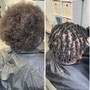 Starter Locs ( Short Afro )