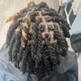 Starter Locs ( Short Afro )