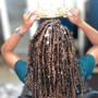 Bob length Butter fly Loc Extensions