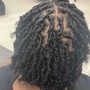 Starter Locs