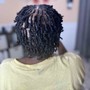 Starter Locs Small