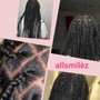 Knotless Box Braids large