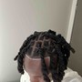 Starter locs