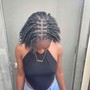 Starter locs on long hair (pass ear)