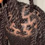 Two strand twist (Natural hair)