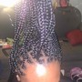 Feed in braids