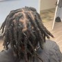 Starter Locs