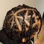 Two Strand Twists