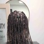 Individual Braids