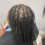 Feed-in Braids