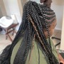 Medium Senegalese Twist med back