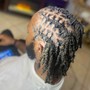 Retwist Only /Mid Back or Longer