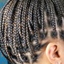 Kid's Box braids with hair (age 10-14)