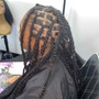 Basic shampoo+Retwist +2 strands or Plaits