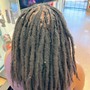 Medium Starter Locs