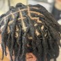 Medium Starter Locs