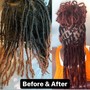 Root Touch Up