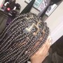 Comb Twist