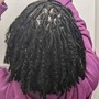 Natural Twists