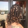 Starter Locs