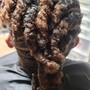 Root Touch Up