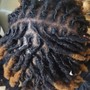 Root Touch Up