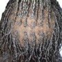 Add On Medium Size Starter Locs