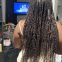 Feed in braids