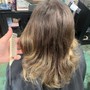 Root Touch Up