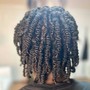 Natural Twists