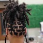 Starter locs