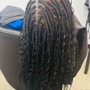 Starter locs