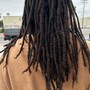 starter locs