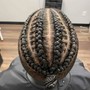 Braided updo/ponytail (lg)