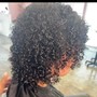 Curl Defining Wet Set (no chemicals)