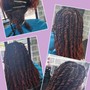 2 Strand Twist  / Hair Added ( Starting Price)