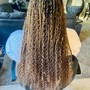 Tree Braids