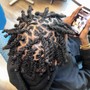 Retwist and Style Bundle