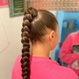 Braided Ponytail