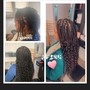 Box braids on med locs