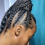 Braid Bar Style PonyTail