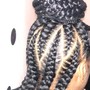 Feed-ins Braids (4-12)