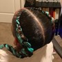 Braided/Butterfly Ponytail