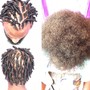 Starter Locs (short hair) (fro)