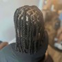 Locs-Rope Twists/2 Strand Twists Add-On