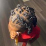 Retwist Only /Mid Back or Longer